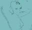 NANOU PICTURE COPYRIGHTS C2000 by HEXJUMPER