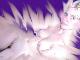 NANOU PICTURE COPYRIGHTS C2000 by HEXJUMPER
